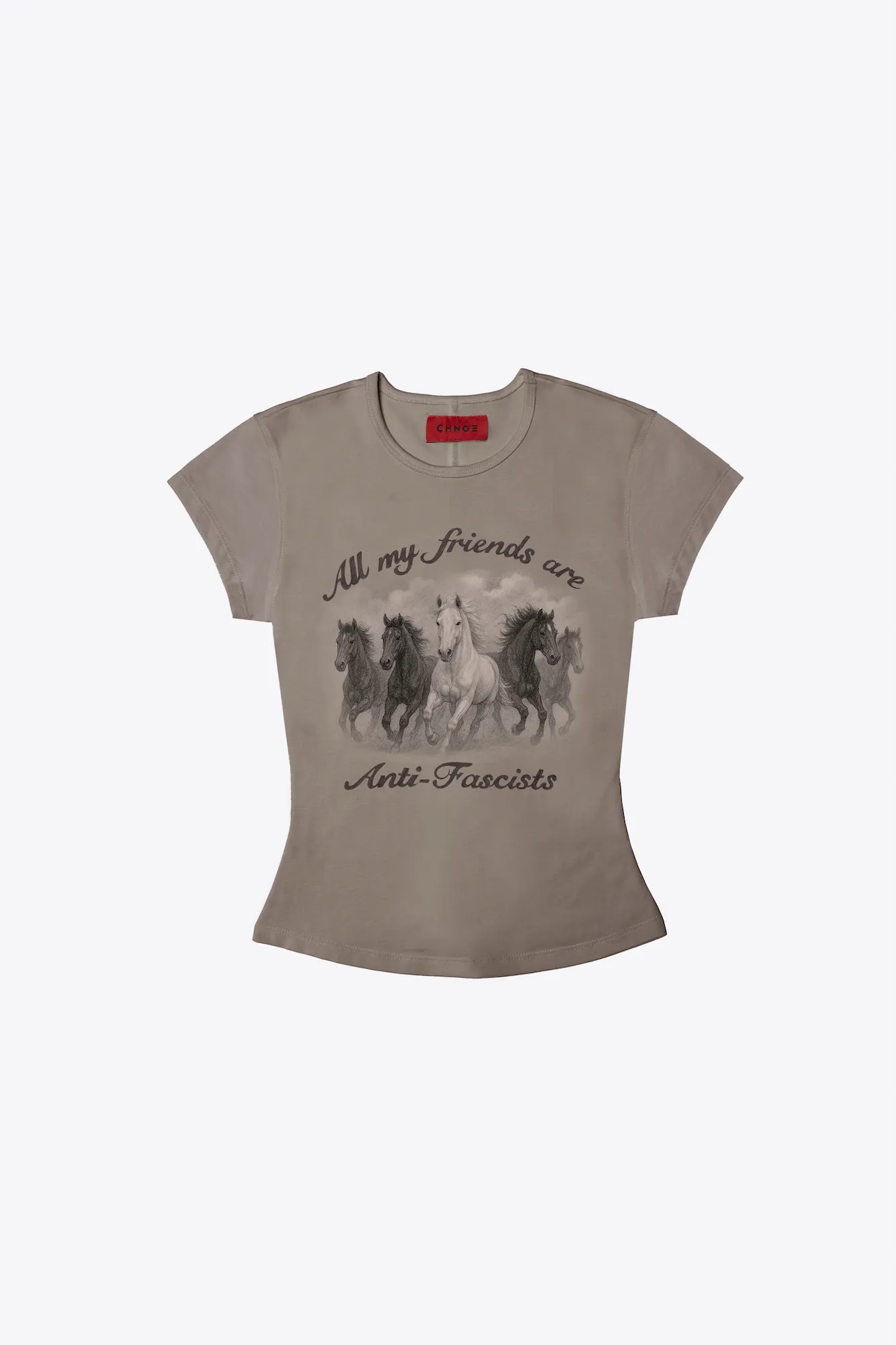 All My Friends Are Anti-Fascists Mini Tee (Portabella)