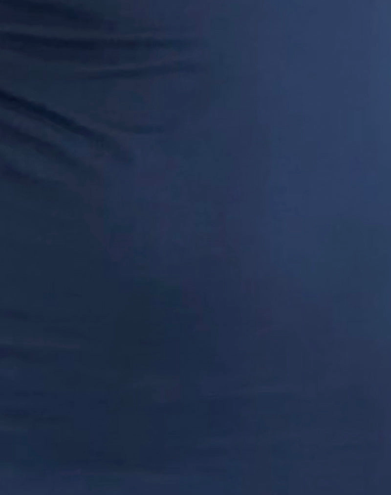Janjisu Bodycon Mini Dress in Navy